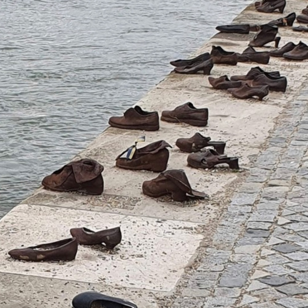 Meet your Posher, Robin